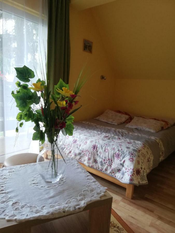 Appartement U Kasprow à Zakopane Extérieur photo